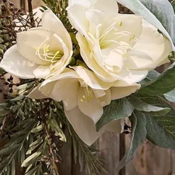 Amaryllis flerblommig tjock stjälk