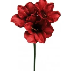 Amaryllis singel