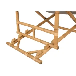 Cane solstol