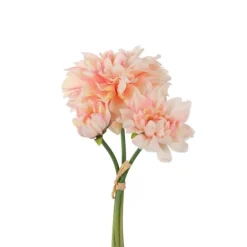 Dahliabunt