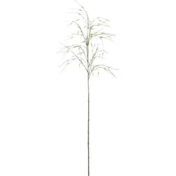 Gräs