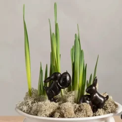 Kanintrio 3-pack