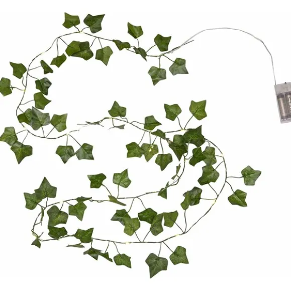 Ljusslinga Ivy