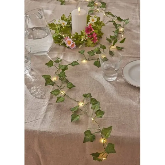 Ljusslinga Ivy