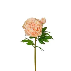 Pion