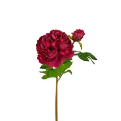 Pion