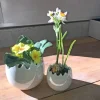 Påskägg kruka 2-pack