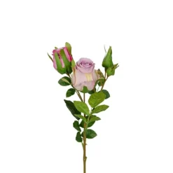 Ros trestänglad